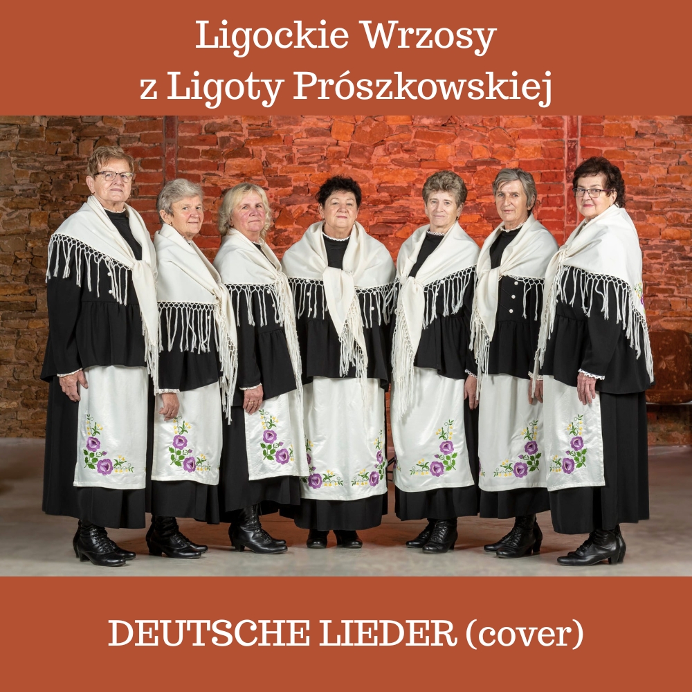 Ligockie Wrzosy Deutsche Lieder (cover) 2026 Ligockie Wrzosy Deutsche Lieder (cover) 2026